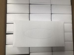 Facial Tissue 100 sheet 2 ply 1 carton x 42 boxes | CognitionUAE.com