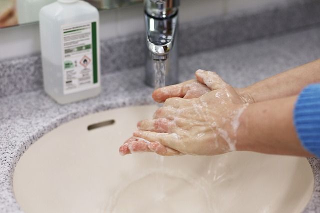 How to Choose the Best Hand Soap for Your Home: A Complete Buying Guide